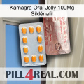 Kamagra Oral Jelly 100Mg Sildénafil new13